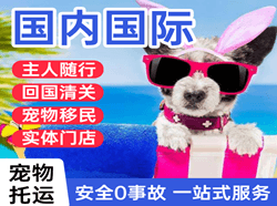 珠海莲洲航空邮寄国际宠物托运 【国